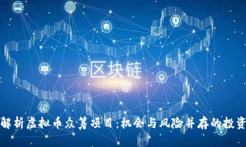深入解析虚拟币众筹项目：机会与风险并存的投资选择