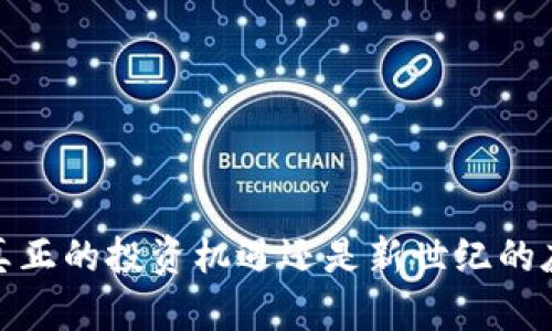 虚拟币：真正的投资机遇还是新世纪的庞氏骗局？