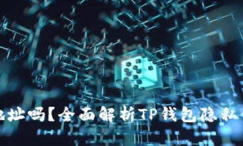 TP钱包能查到IP地址吗？全面解析TP钱包隐私保护及IP地址问题