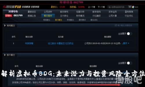 深度解析虚拟币BDG：未来潜力与投资风险全方位剖析
