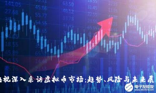 央视深入采访虚拟币市场：趋势、风险与未来展望