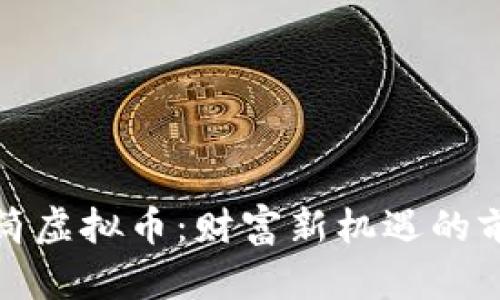 探索TT甜筒虚拟币：财富新机遇的前景与挑战